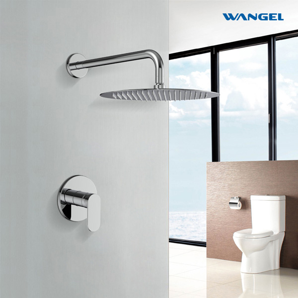 High quality Chrome Plated Wall-Mounted Installation Shower - 图片 3