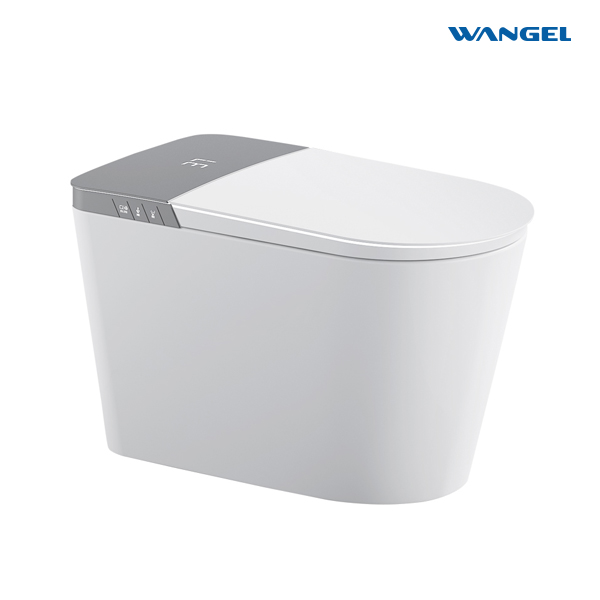 Smart Toilet, One Piece Bidet Toilet for Bathrooms