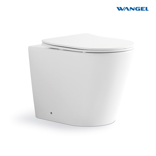Modern Washroom Luxury Floor Mounted Water Spray  Toilet Seat Cover Bowl Seat With Tank