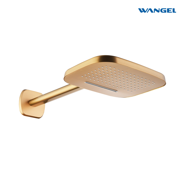 High Quality Modern Style Design SUS304 Stainless Steel Dual Function Customized Color Luxury Engineering Shower Head