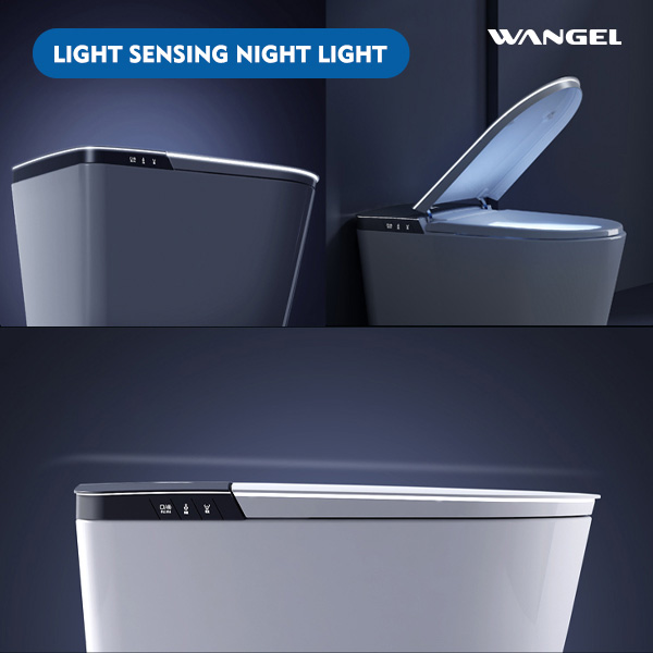Smart Toilet, One Piece Bidet Toilet for Bathrooms - 图片 4