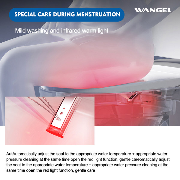 Smart Toilet, One Piece Bidet Toilet for Bathrooms - 图片 5