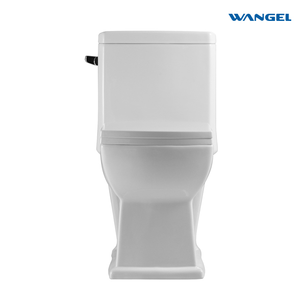 White Color One Piece Sanitary Ware Bathroom Water Closet One Piece Ceramic Wc Toilet Set S-trap Toilet Bowl - 图片 3