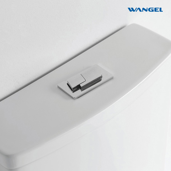 Ceramic Wc Bathroom Toilets Two Piece Toilet Ceramic Wash Down Tow Piece Toilet - 图片 2