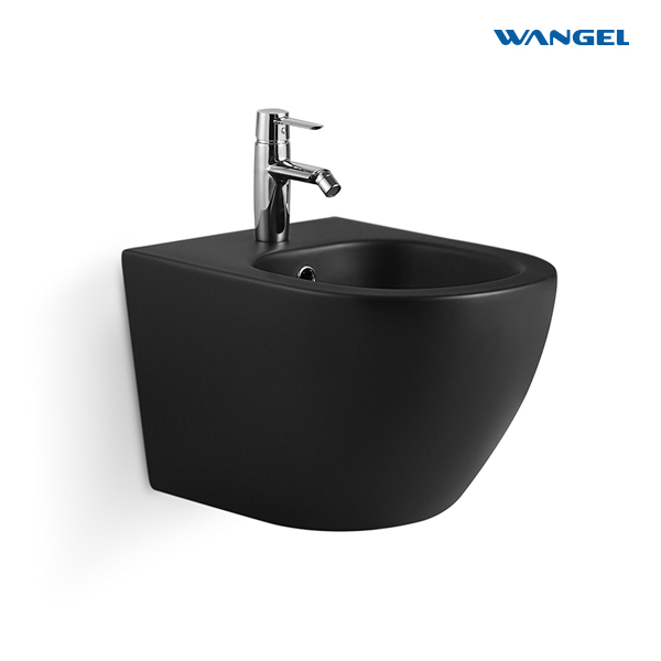 Luxury Ceramic Bidet Toilet Modern Design Style Water Type - 图片 2