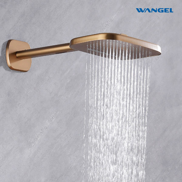 High Quality Modern Style Design SUS304 Stainless Steel Dual Function Customized Color Luxury Engineering Shower Head - 图片 4