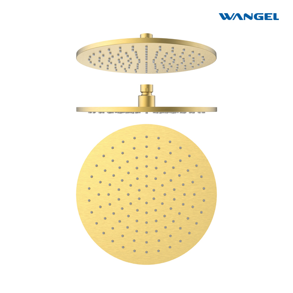 Luxury High Quality Modern Style Design Optional Size Front Copper, Rear Steel&SUS304 Stainless Steel 8MM Circular Shower Head - 图片 4