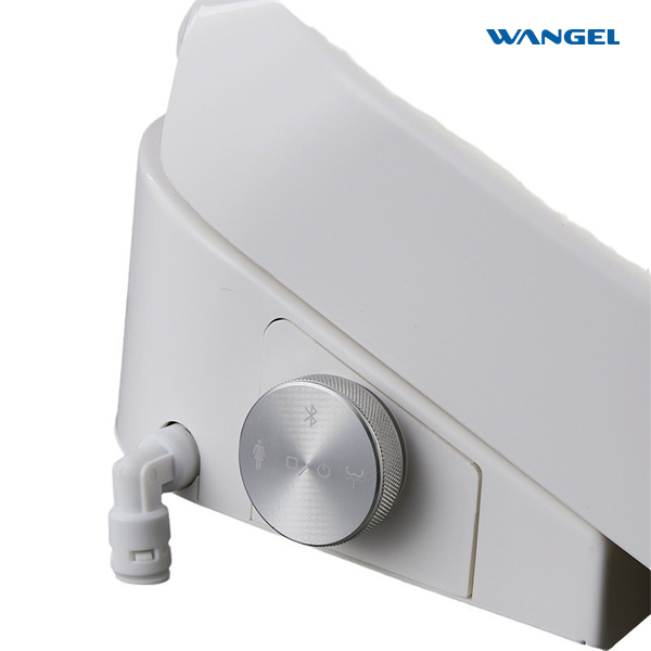 Hot Sale Electronic Seat Heating Bidet Warm Cold Water Wash Spray Dry Smart Toilet Seat Cover for Home Use - 图片 5
