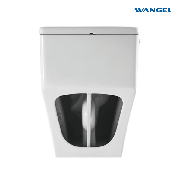 Bathroom Ceramic Chinese WC Toilet Bowl One-piece Toilet - 图片 3