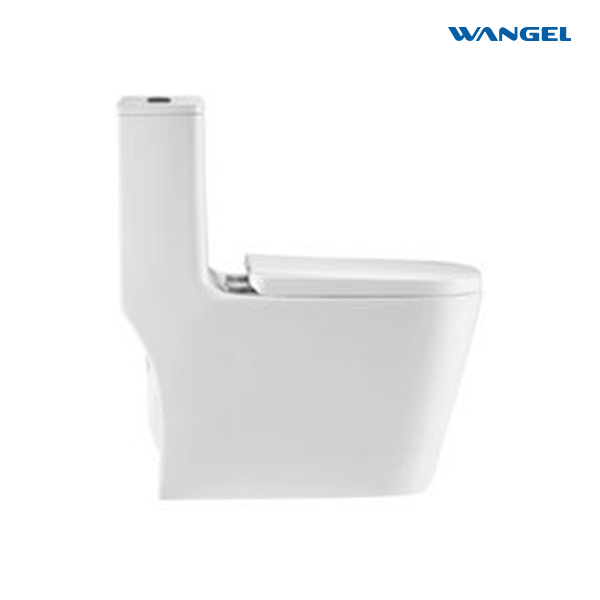 Bathroom Floor Mounted Ceramic Siphonic Water Closet Toilets Modern One Piece Toilet - 图片 3