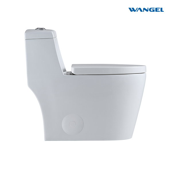 Modern Ceramic One-Piece Dual-Flush Toilet 300 mm Siphonic S-Trap Sanitary Ware for Home Bathroom WC - 图片 4