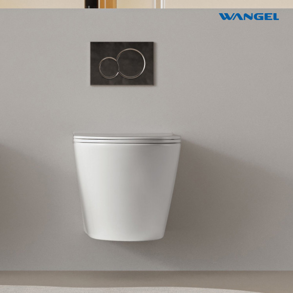 Wall Hung Toilet Ceramic Wall-mounted Modern Bathroom Toilet Wall Hung Toilet Hotel - 图片 3