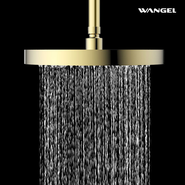 Luxury Hign Quality Elegant Modern Style Design SUS304 Stainless Steel Optional Size Circular 25mm Shower Head - 图片 6