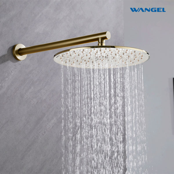 Luxury High Quality Elegant Modern Style Design Optional Size Customized Color Circular Patterned Shower Head - 图片 6