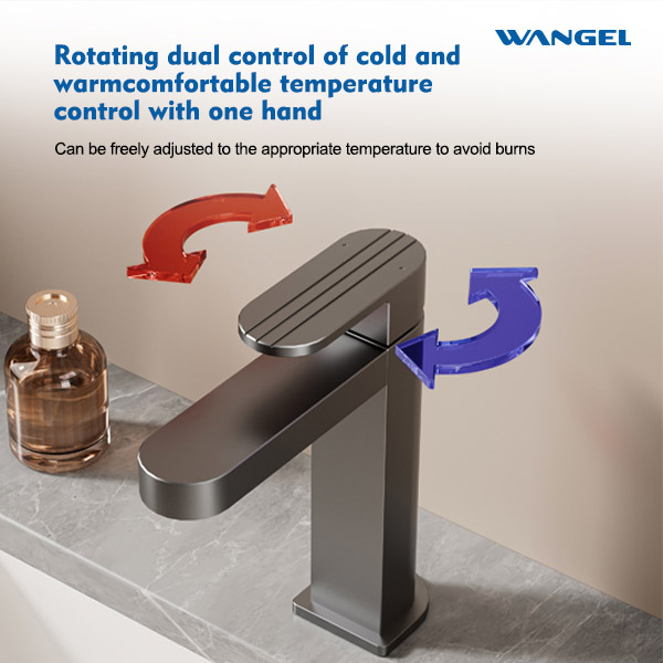 High Quality Modern Style Design Rotatable Handle Hot And Cold Space Aluminum Countertop-Mounted Installation Basin Faucet - 图片 5