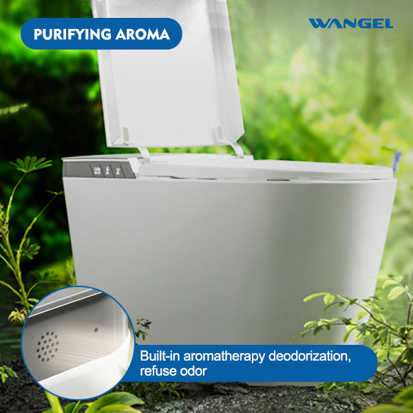 Smart Toilet, One Piece Bidet Toilet for Bathrooms - 图片 7