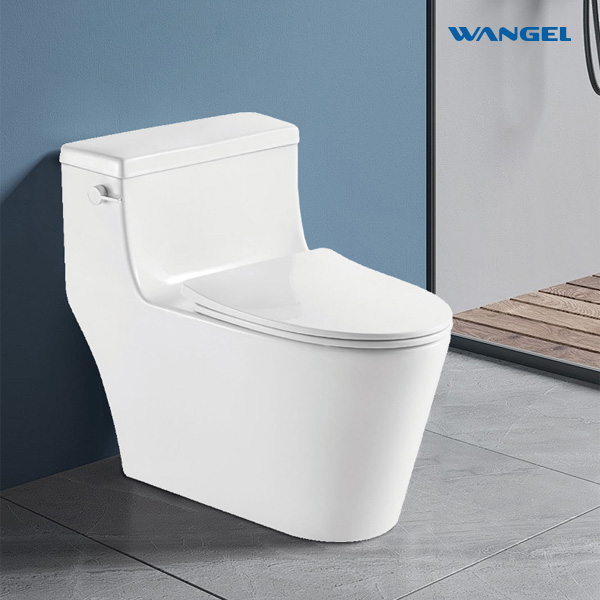 Bathroom Ceramic Chinese WC Toilet Bowl One-piece Toilet - 图片 4