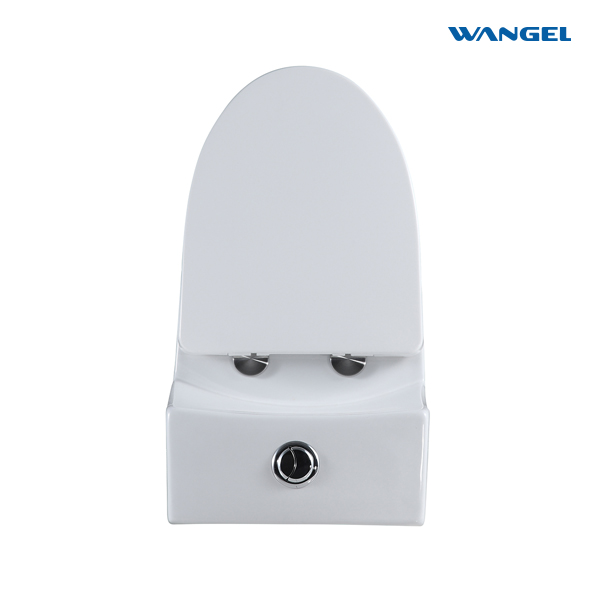 Modern Ceramic One-Piece Dual-Flush Toilet 300 mm Siphonic S-Trap Sanitary Ware for Home Bathroom WC - 图片 5