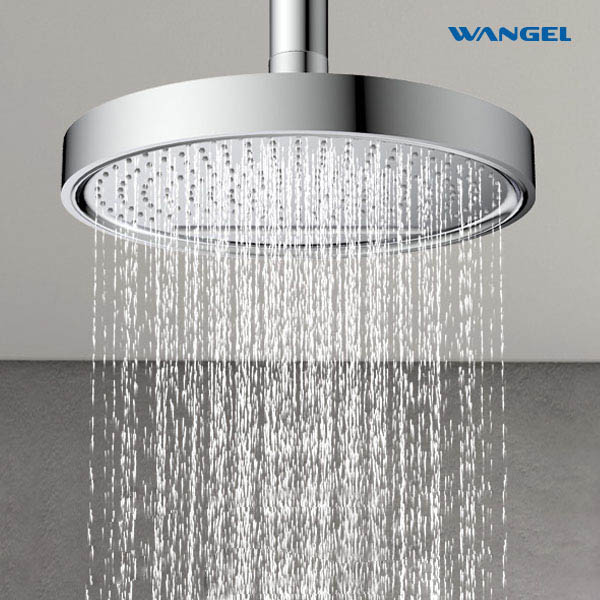 High Quality Modern Style Design SUS304 Stainless Steel Dual Function Customized Color Luxury Engineering Shower Head - 图片 7