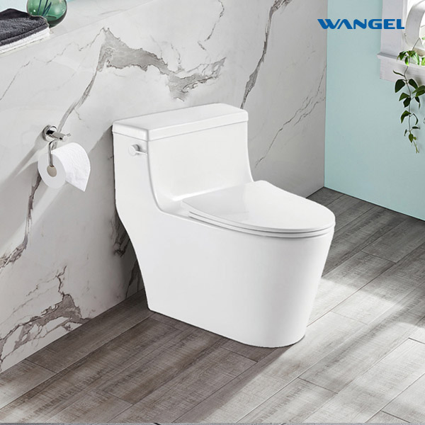Bathroom Ceramic Chinese WC Toilet Bowl One-piece Toilet - 图片 5