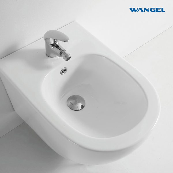 Luxury Ceramic Bidet Toilet Modern Design Style Water Type - 图片 5