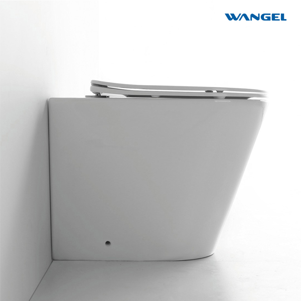 Modern Washroom Luxury Floor Mounted Water Spray Toilet Seat Cover Bowl Seat With Tank - 图片 5