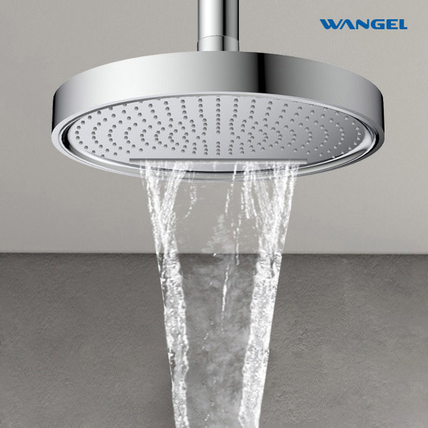 High Quality Modern Style Design SUS304 Stainless Steel Dual Function Customized Color Luxury Engineering Shower Head - 图片 8