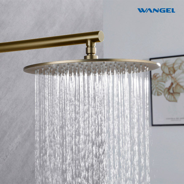 Durable High Quality Elegant SUS304 Stainless Steel Optional Size Customized Color Circular 5.5mm Shower Head - 图片 8