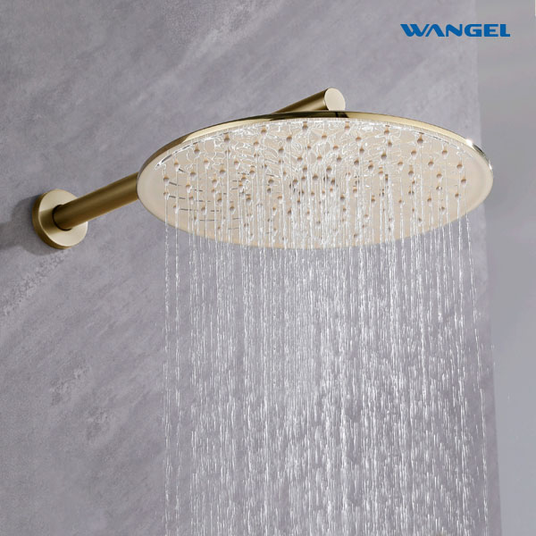 Luxury High Quality Elegant Modern Style Design Optional Size Customized Color Circular Patterned Shower Head - 图片 8