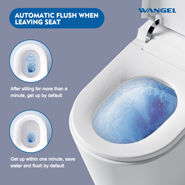 Smart Toilet, One Piece Bidet Toilet for Bathrooms - 图片 9