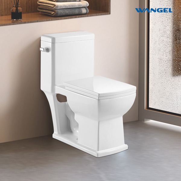 White Color One Piece Sanitary Ware Bathroom Water Closet One Piece Ceramic Wc Toilet Set S-trap Toilet Bowl - 图片 2