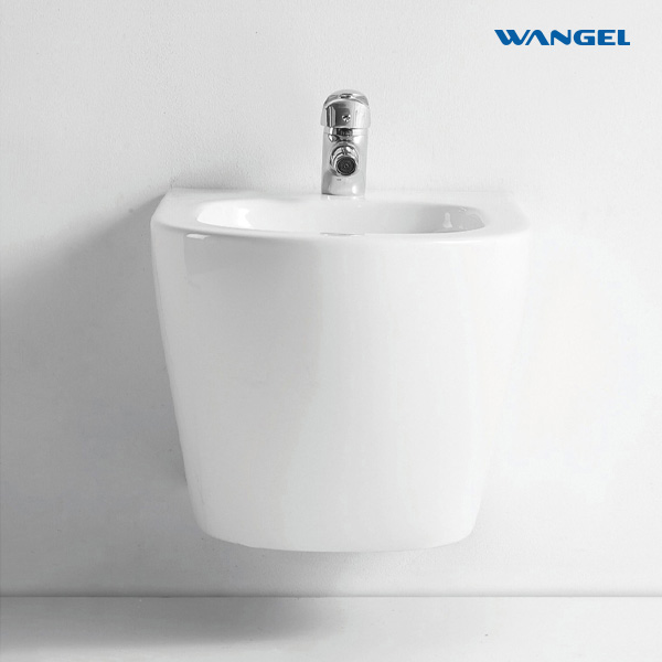Luxury Ceramic Bidet Toilet Modern Design Style Water Type - 图片 6