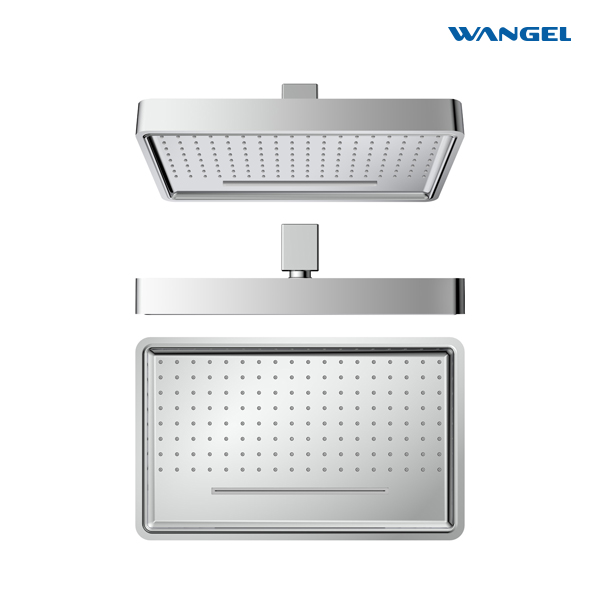 High Quality Modern Style Design SUS304 Stainless Steel Dual Function Customized Color Luxury Engineering Shower Head - 图片 9