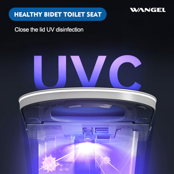Smart Toilet, One Piece Bidet Toilet for Bathrooms - 图片 10