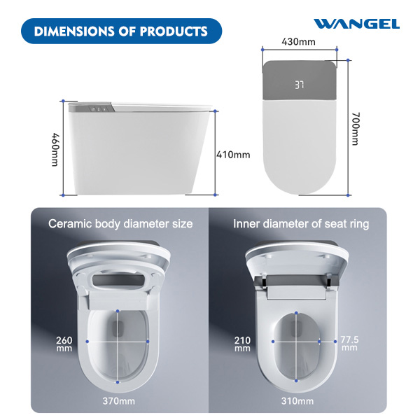 Smart Toilet, One Piece Bidet Toilet for Bathrooms - 图片 3
