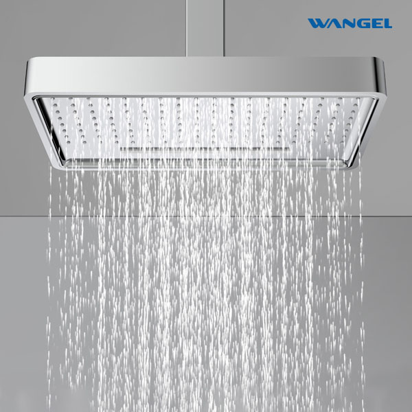 High Quality Modern Style Design SUS304 Stainless Steel Dual Function Customized Color Luxury Engineering Shower Head - 图片 11