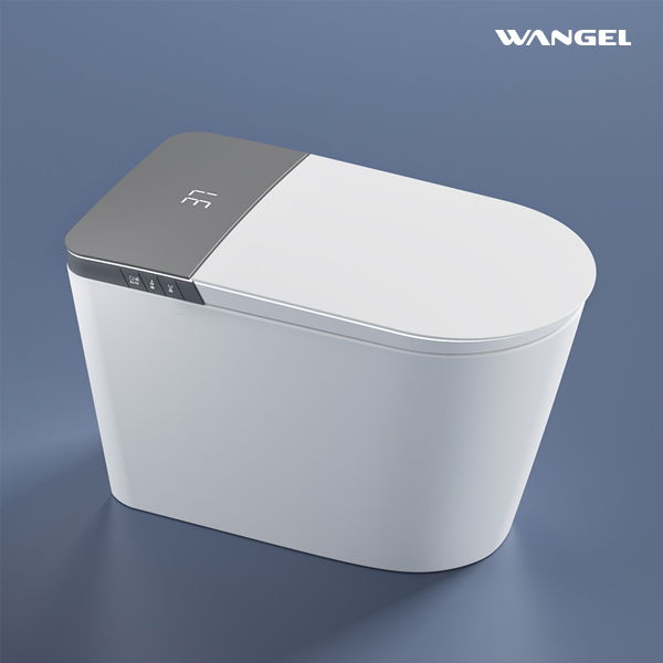 Smart Toilet, One Piece Bidet Toilet for Bathrooms - 图片 2