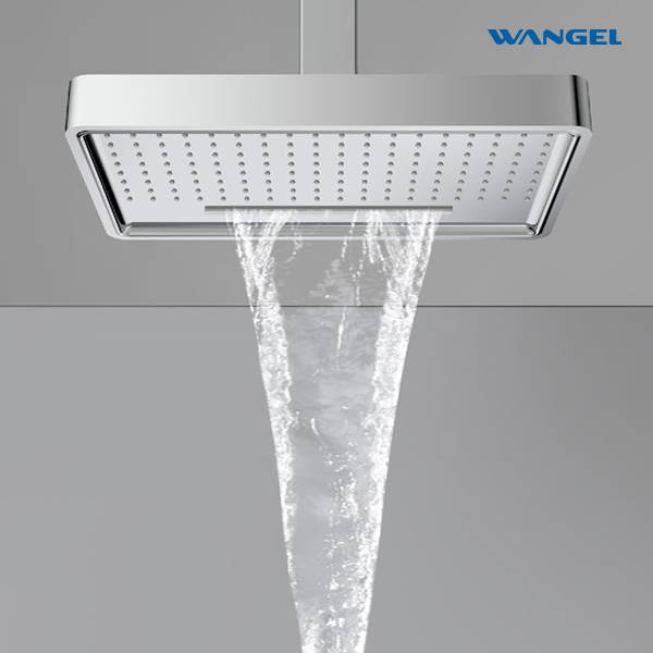 High Quality Modern Style Design SUS304 Stainless Steel Dual Function Customized Color Luxury Engineering Shower Head - 图片 12