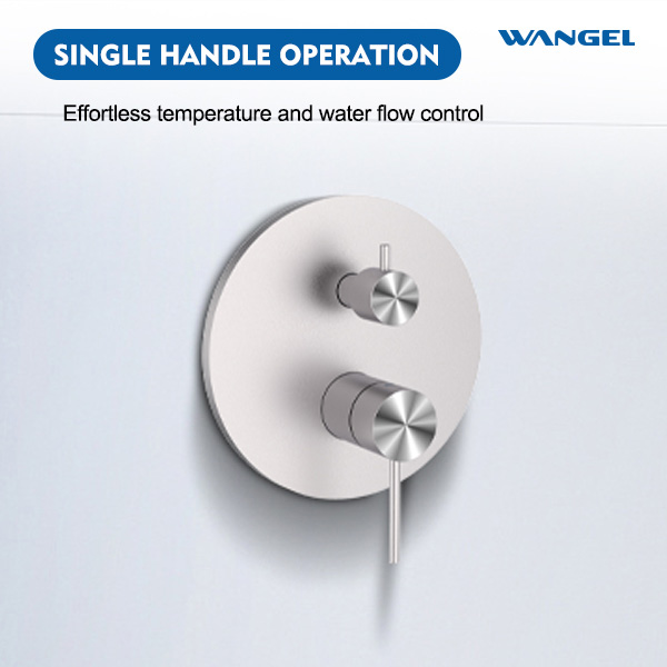 Stainless Steel Concealed Two Function Shower Valve Wall Mounted - 图片 4
