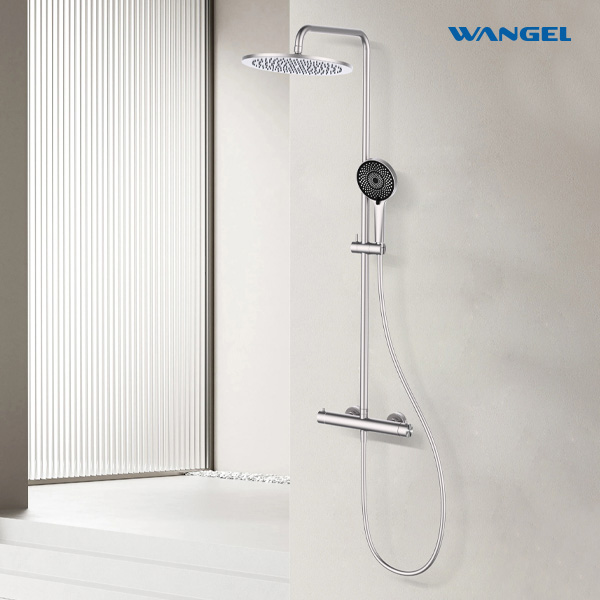 Hot and cold Stainless Steel 304 Two- Function Shower Set - 图片 2