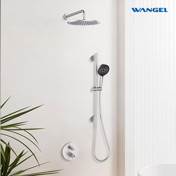 Tow-Function Handheld Shower and Adjustable Slide Bar - 图片 2