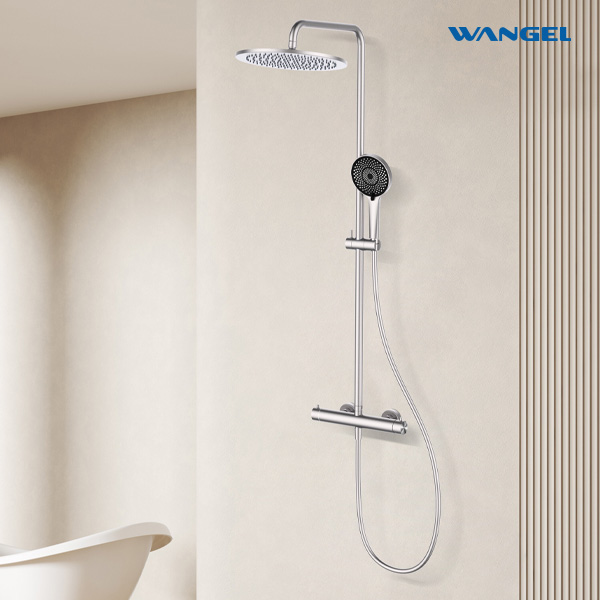 Hot and cold Stainless Steel 304 Two- Function Shower Set - 图片 3
