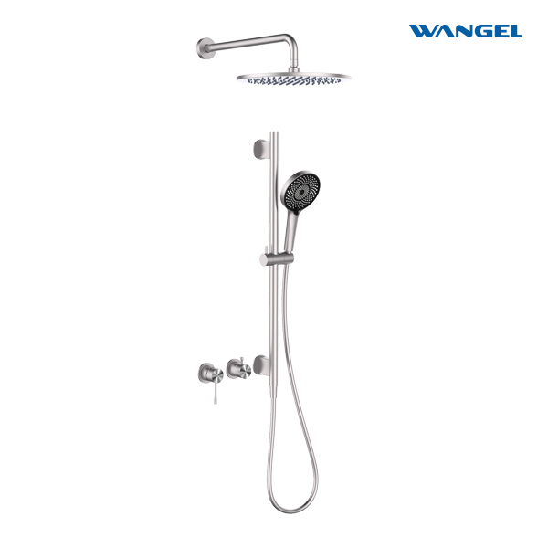 Two-Function Brushed Stainless Steel Shower Set