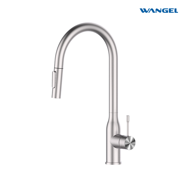 Kitchen Faucets with Pull Down Sprayer