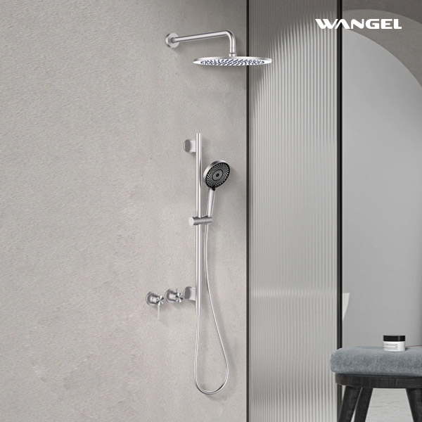 Two-Function Brushed Stainless Steel Shower Set - 图片 2