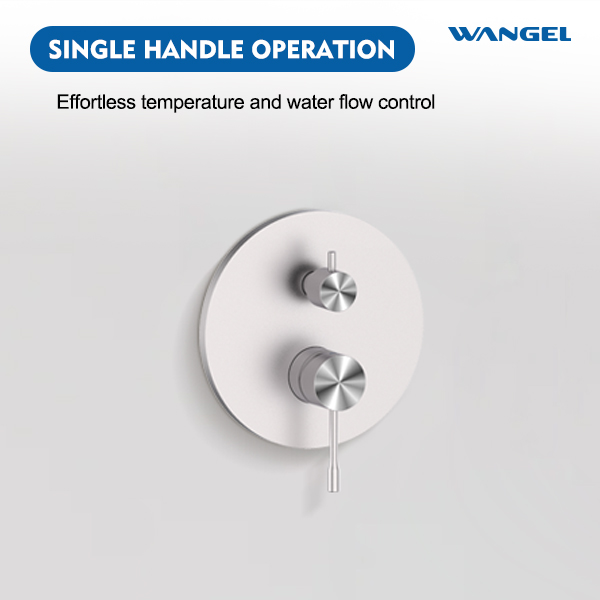 Modern Wall - Mounted Shower Valve with Dual Handles - 图片 4