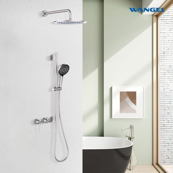 Two-Function Brushed Stainless Steel Shower Set - 图片 3