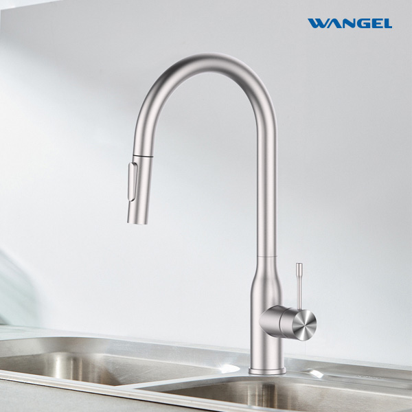 Kitchen Faucets with Pull Down Sprayer - 图片 2