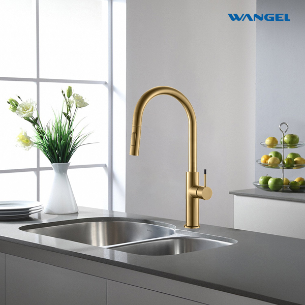 Brushed Gold Pull-Out Kitchen Faucet - 图片 3