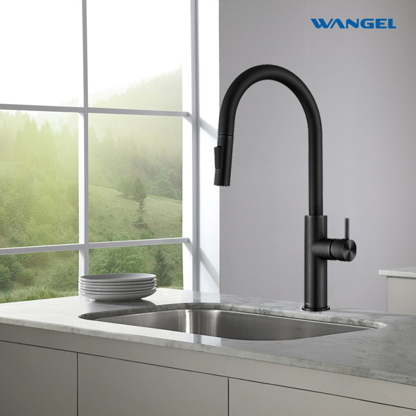 360° Matte Black Pull-Out Kitchen Faucet - 图片 3
